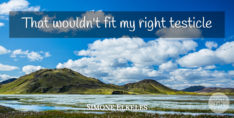 Simone Elkeles Quote About Fit, Testicles: That Wouldnt Fit My Right...