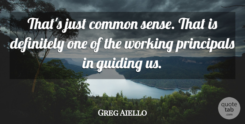 Greg Aiello Quote About Common, Common Sense, Definitely, Guiding, Principals: Thats Just Common Sense That...