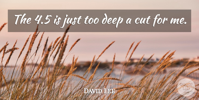 David Lee Quote About Cut, Deep: The 4 5 Is Just...