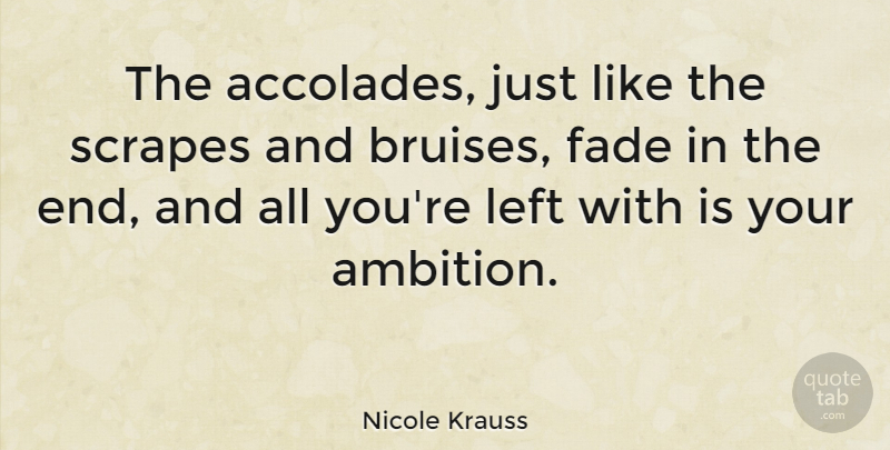 Nicole Krauss Quote About Ambition, Bruises, Ends: The Accolades Just Like The...