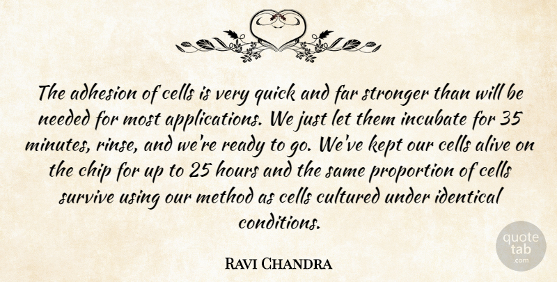 Ravi Chandra Quote About Alive, Cells, Chip, Cultured, Far: The Adhesion Of Cells Is...