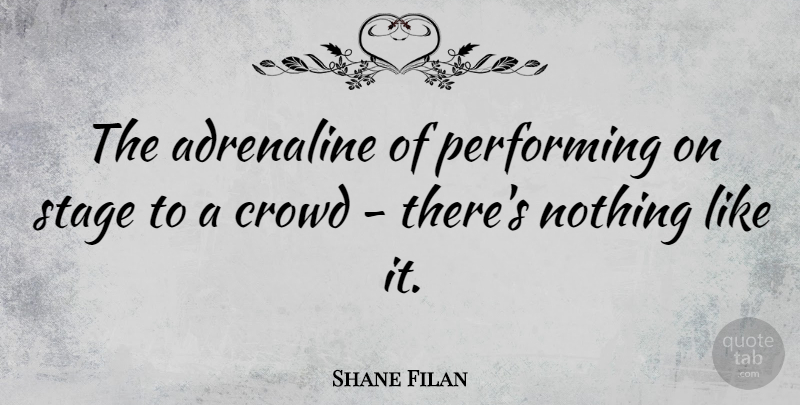 Shane Filan Quote About Crowds, Stage, Adrenaline: The Adrenaline Of Performing On...