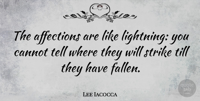 Lee Iacocca Quote About Lightning, Affection, Economy: The Affections Are Like Lightning...