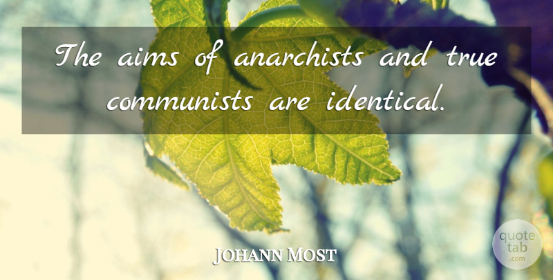 Johann Most Quote About Anarchist, Communist, Aim: The Aims Of Anarchists And...