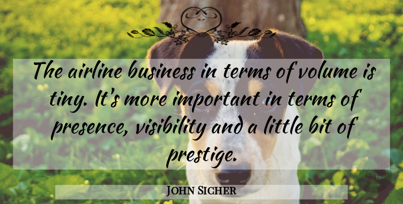John Sicher Quote About Airline, Bit, Business, Terms, Visibility: The Airline Business In Terms...