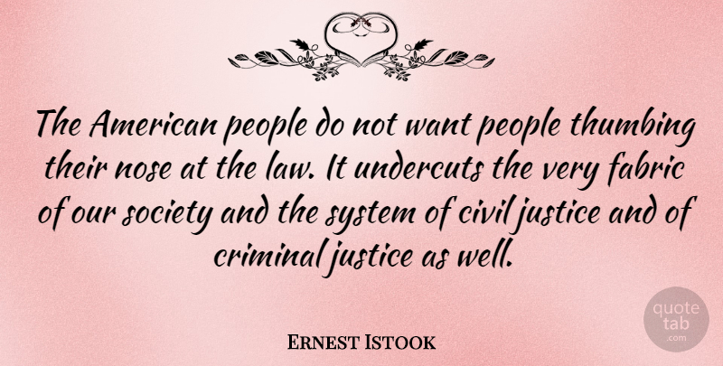 Ernest Istook Quote About Law, Umpires, People: The American People Do Not...