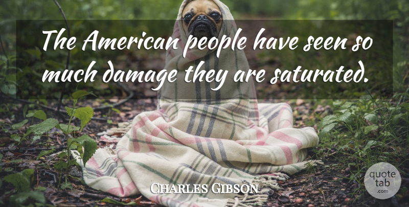 Charles Gibson Quote About Damage, People, Seen: The American People Have Seen...