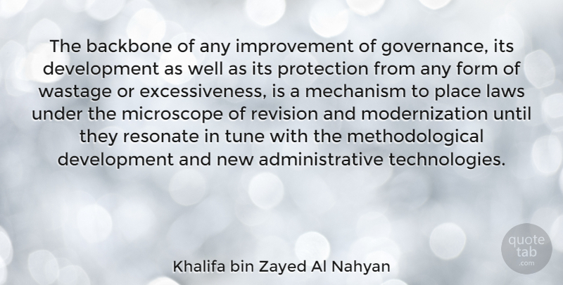 Khalifa bin Zayed Al Nahyan Quote About Form, Improvement, Mechanism, Microscope, Resonate: The Backbone Of Any Improvement...