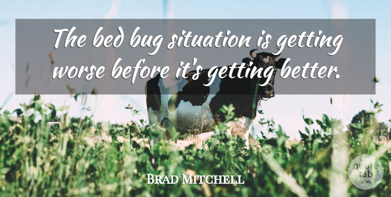 Brad Mitchell Quote About Bed, Bug, Situation, Worse: The Bed Bug Situation Is...