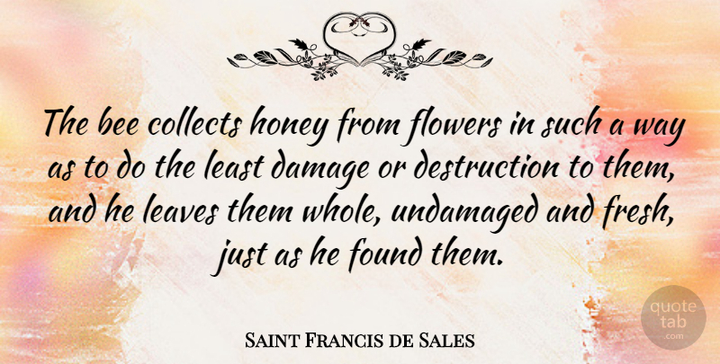 Saint Francis de Sales Quote About Collects, Damage, Found, Leaves: The Bee Collects Honey From...