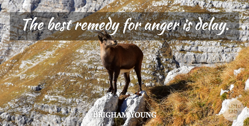 Brigham Young Quote About Anger, Delay, Remedy: The Best Remedy For Anger...