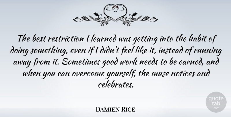 Damien Rice Quote About Best, Good, Habit, Instead, Learned: The Best Restriction I Learned...