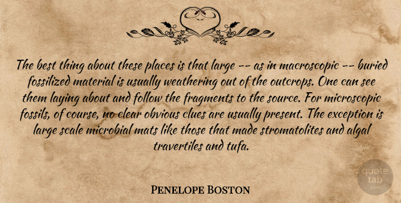Penelope Boston Quote About Best, Buried, Clear, Clues, Exception: The Best Thing About These...