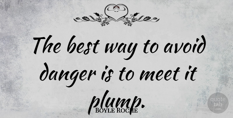 Boyle Roche Quote About Way, Danger, Best Way: The Best Way To Avoid...