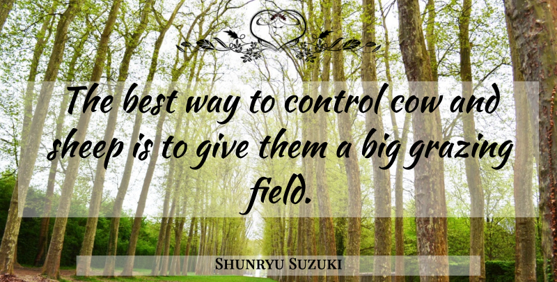 Shunryu Suzuki Quote About Sheep, Giving, Meditation: The Best Way To Control...
