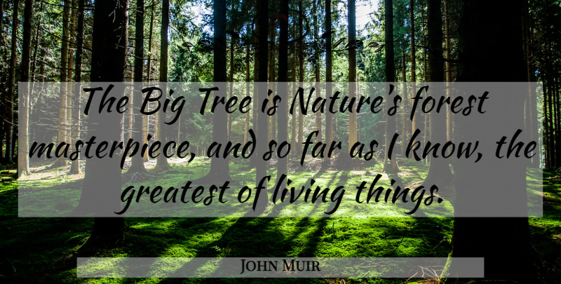 John Muir Quote About Tree, Forests, Bigs: The Big Tree Is Natures...