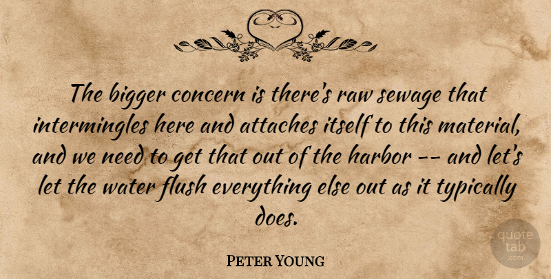 Peter Young Quote About Bigger, Concern, Flush, Harbor, Itself: The Bigger Concern Is Theres...
