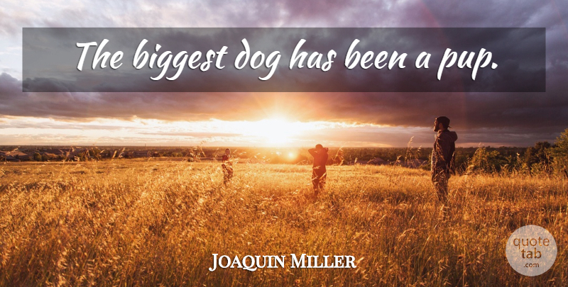 Joaquin Miller Quote About Dog, Pups, Puppy: The Biggest Dog Has Been...