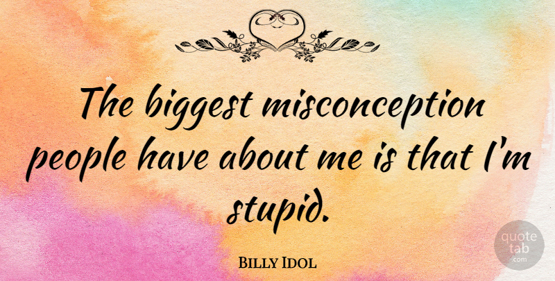 Billy Idol Quote About Stupid, Idols, People: The Biggest Misconception People Have...