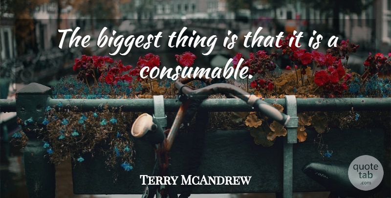 Terry McAndrew Quote About Biggest: The Biggest Thing Is That...