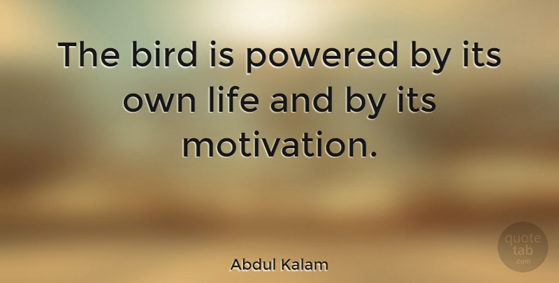 Abdul Kalam Quote About Inspirational, Motivation, Bird: The Bird Is Powered By...