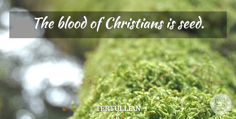 Tertullian Quote About Christian, Blood, Seeds: The Blood Of Christians Is...