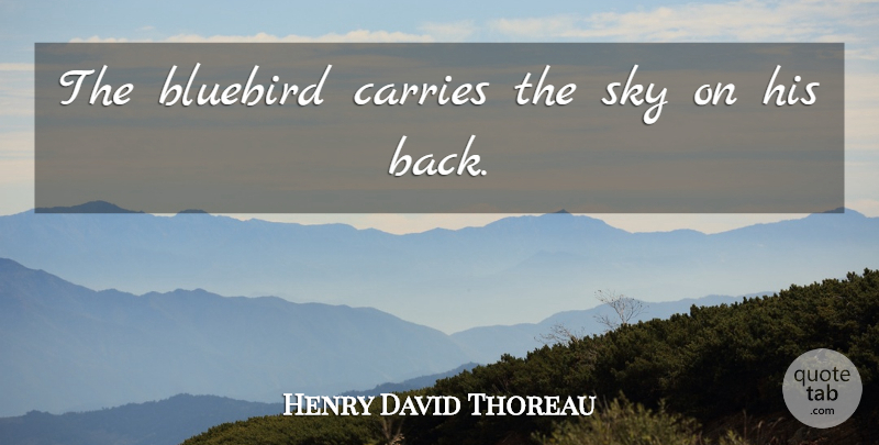 Henry David Thoreau Quote About Niece, Animal, Sky: The Bluebird Carries The Sky...