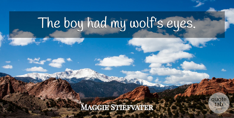 Maggie Stiefvater Quote About Eye, Boys: The Boy Had My Wolfs...