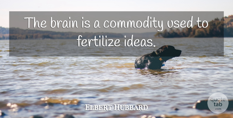 Elbert Hubbard Quote About Ideas, Brain, Commodity: The Brain Is A Commodity...