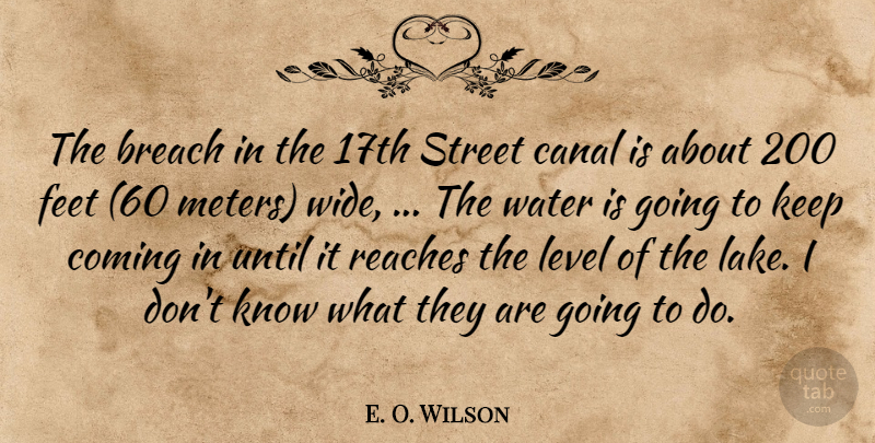 E. O. Wilson Quote About Breach, Canal, Coming, Feet, Level: The Breach In The 17th...