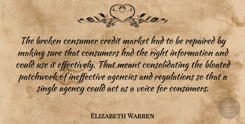 Elizabeth Warren Quote About Act, Agencies, Agency, Bloated, Consumer: The Broken Consumer Credit Market...