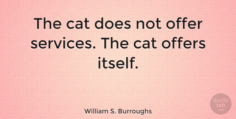 William S. Burroughs Quote About Cat, Pet, Doe: The Cat Does Not Offer...