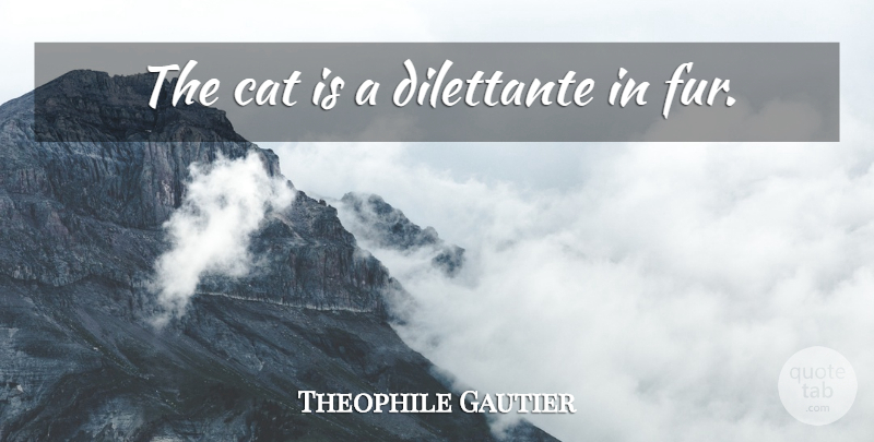 Theophile Gautier Quote About Cat, Fur, Dilettantes: The Cat Is A Dilettante...