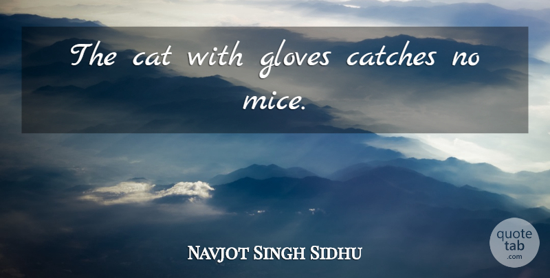 Navjot Singh Sidhu Quote About Cat, Gloves, Mice: The Cat With Gloves Catches...