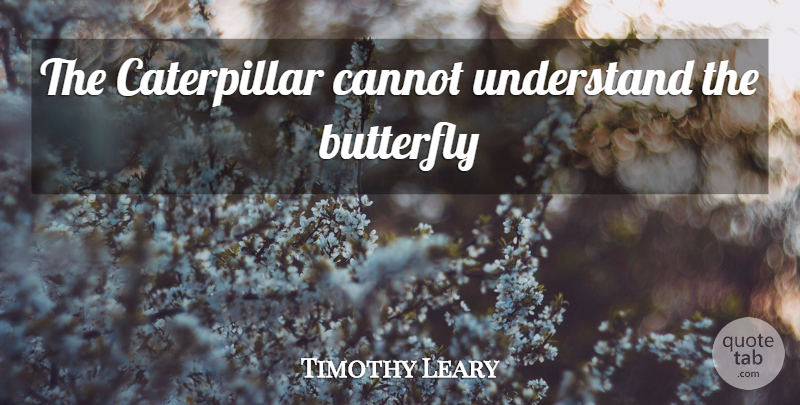 Timothy Leary Quote About Butterfly, Drug, Caterpillars: The Caterpillar Cannot Understand The...