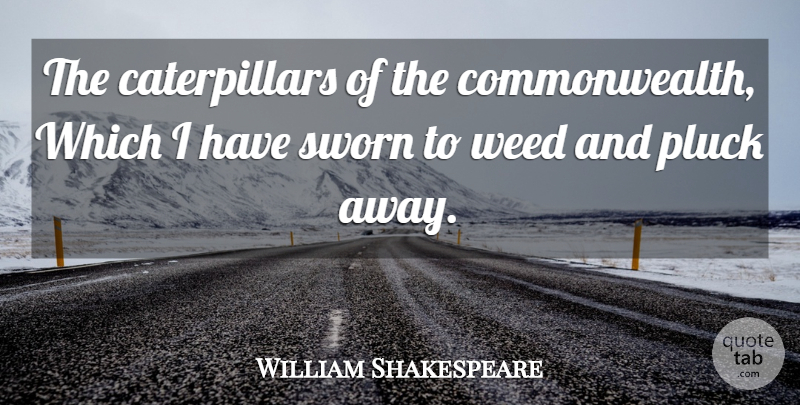 William Shakespeare Quote About Weed, Politics, Court: The Caterpillars Of The Commonwealth...