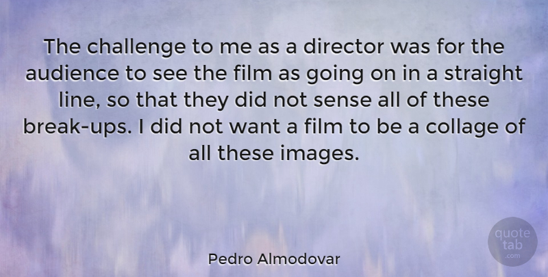 Pedro Almodovar Quote About Challenges, Lines, Want: The Challenge To Me As...