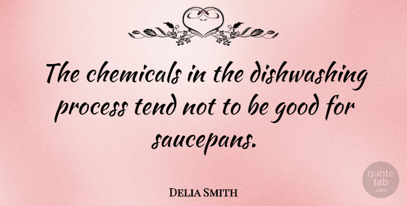 Delia Smith Quote About Process, Chemicals, Be Good: The Chemicals In The Dishwashing...