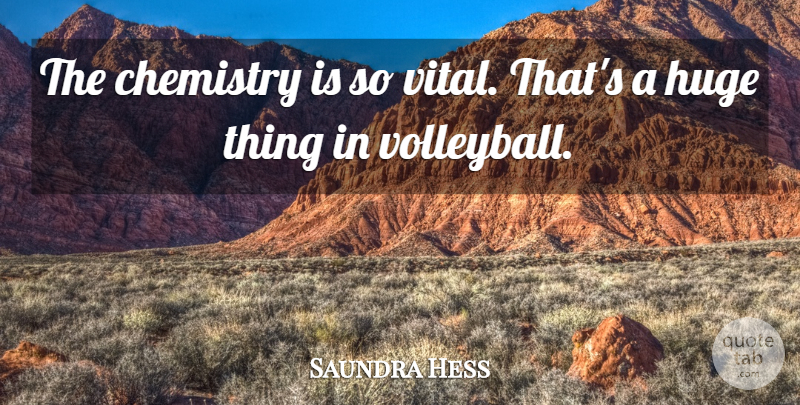 Saundra Hess Quote About Chemistry, Huge: The Chemistry Is So Vital...