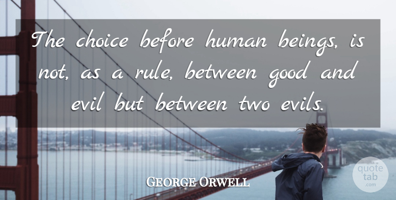 George Orwell Quote About Two, Evil, Choices: The Choice Before Human Beings...