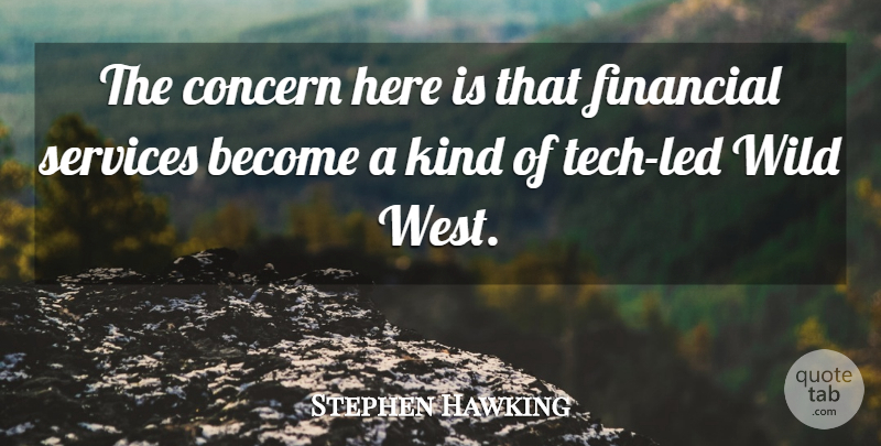 Stephen Hawking Quote About West, Kind, Financial: The Concern Here Is That...