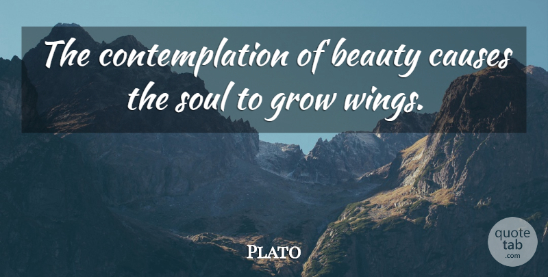 Plato Quote About Beauty, Wings, Soul: The Contemplation Of Beauty Causes...