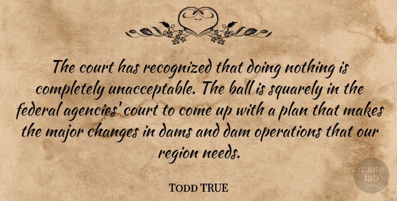 Todd TRUE Quote About Ball, Changes, Court, Dams, Federal: The Court Has Recognized That...