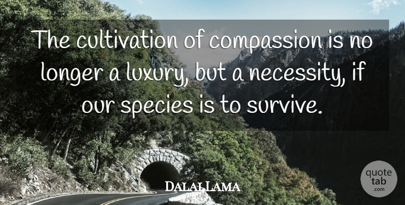 Dalai Lama Quote About Compassion, Luxury, Cultivation: The Cultivation Of Compassion Is...