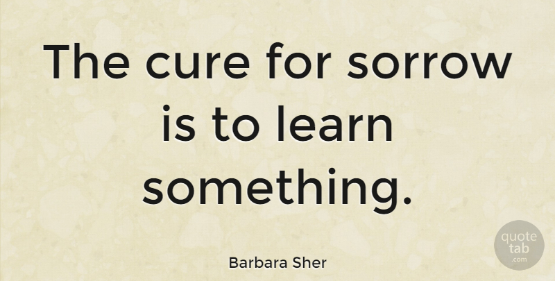 Barbara Sher Quote About Sadness, Sorrow, Cures: The Cure For Sorrow Is...