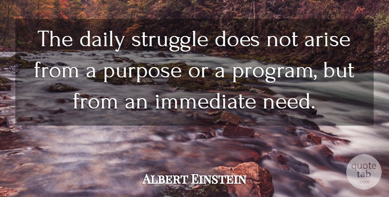 Albert Einstein Quote About Struggle, Purpose, Doe: The Daily Struggle Does Not...