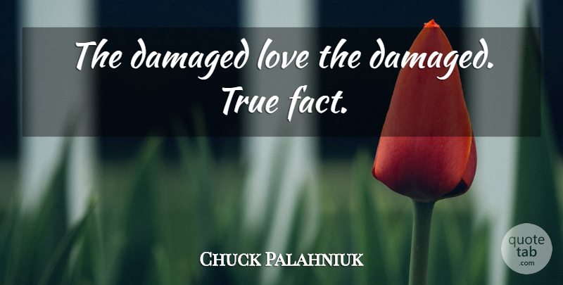 Chuck Palahniuk Quote About Facts, True Fact: The Damaged Love The Damaged...