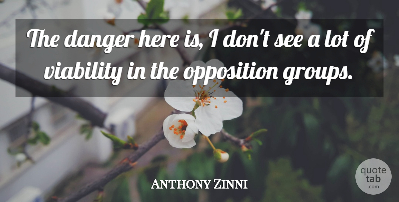 Anthony Zinni Quote About Danger, Opposition, Viability: The Danger Here Is I...
