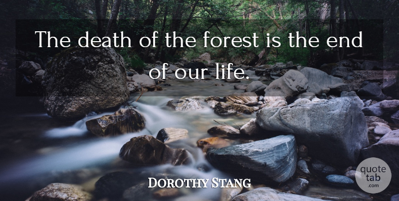 Dorothy Stang The Death Of The Forest Is The End Of Our Life Quotetab