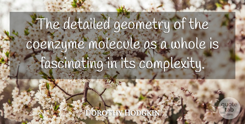 Dorothy Hodgkin Quote About Molecules, Geometry, Complexity: The Detailed Geometry Of The...